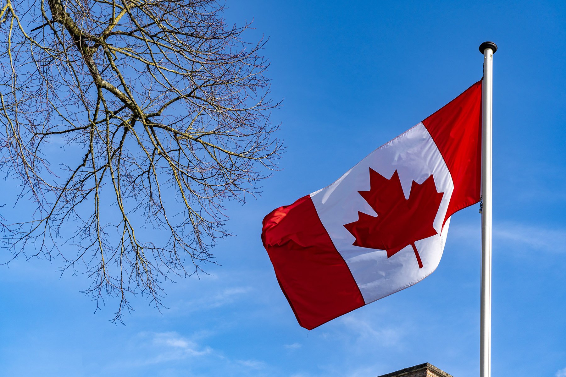 توظيف 10 مناصب بدولة كندا برواتب محفزة