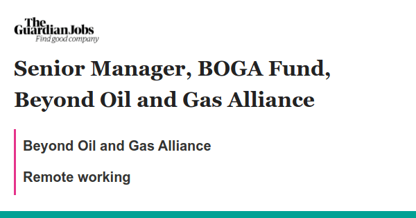 Senior Manager, BOGA Fund, Beyond Oil and Gas Alliance job with Beyond Oil and Gas Alliance